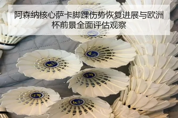 阿森纳核心萨卡脚踝伤势恢复进展与欧洲杯前景全面评估观察